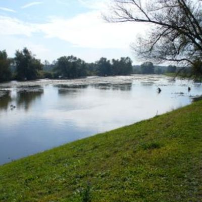 Oder bei Ratzdorf