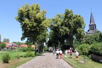 Sauen im Landkreis Oder-Spree