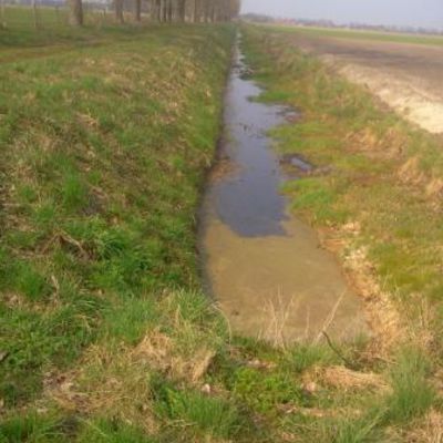 Nichteinhaltung von Randstreifen, Bewirtschaftungsgrenze durch die Landwirtschaft