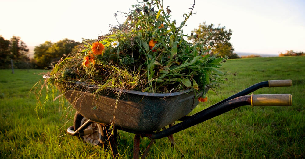 Eine Schubkarre voll mit Gartenabf&auml;llen auf einer Wiese.